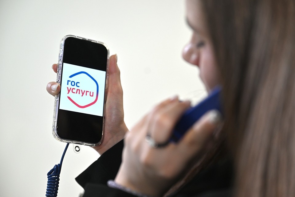    Портал «Госуслуги» технически взломать практически невозможно. Евгения ГУСЕВА