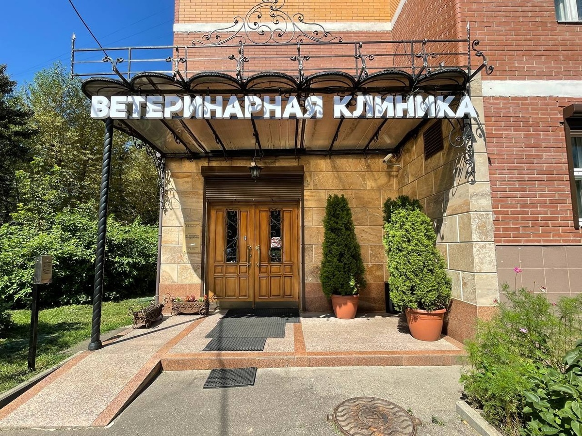 Ветеринарная клиника «В добрые руки». Источник изображения: yandex.com/maps