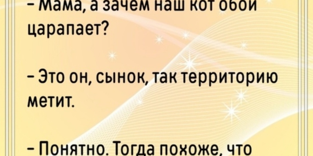 #713 Немного юмора