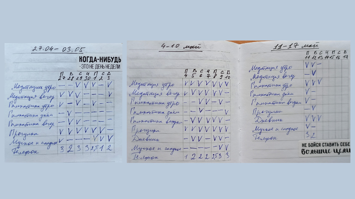 Вот так каждый день отмечаю что из привычек сделано, а что нет.