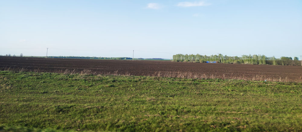 бескрайние поля