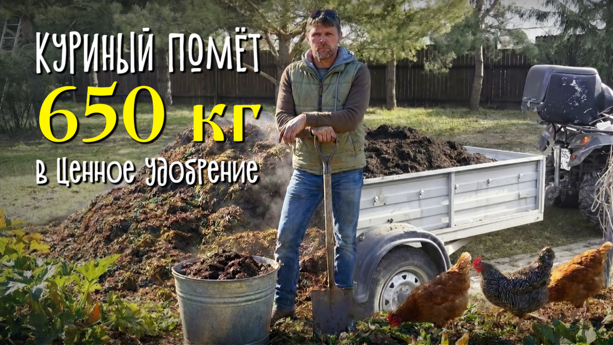 Куриный помёт в ценное удобрение
