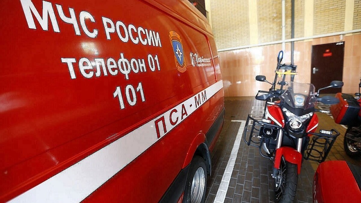    Фото: телеканал «Краснодар»