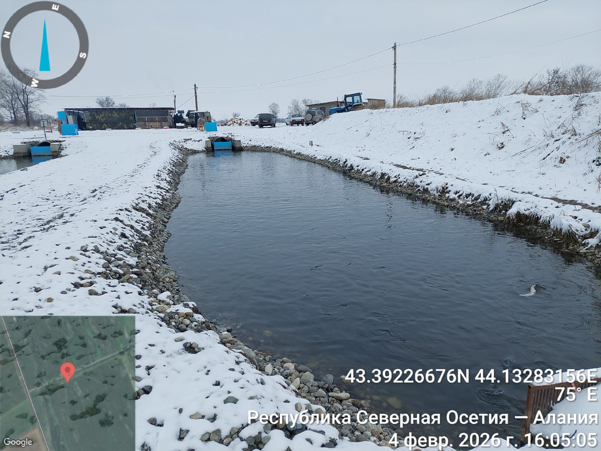 Фото: Управление Россельхознадзора по РСО-Алания и КБР