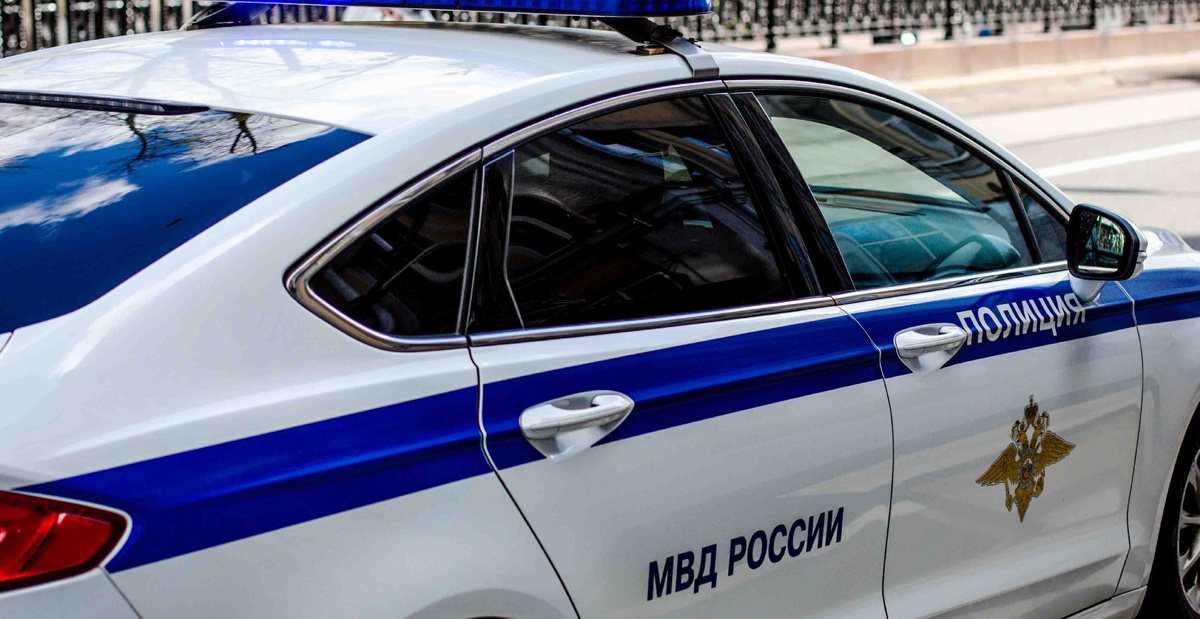    фото: Общественная служба новостей