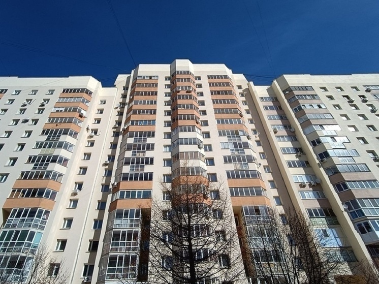     Фото: Николай Курилов / МК-Урал