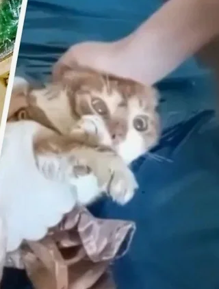 Листайте вправо