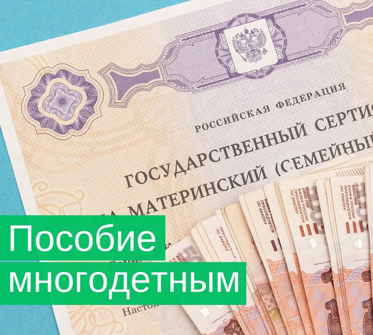 Будущее за теми, кто превращает сухие статьи законов в живые деньги на карте.
