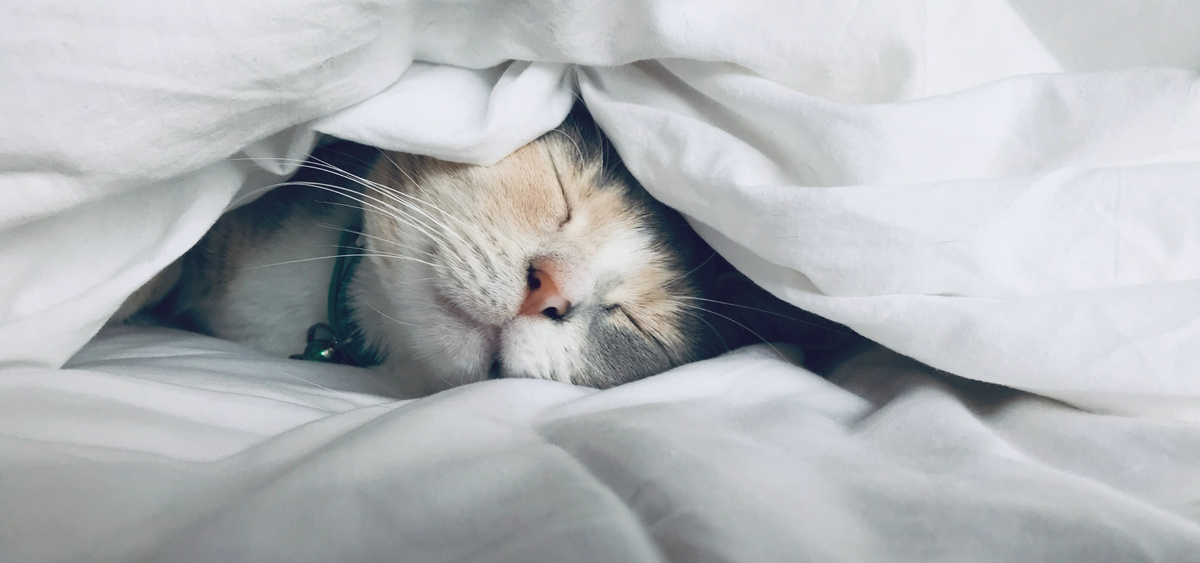 Через неделю вы поймете, что такое сон без звуков — это наркотик.