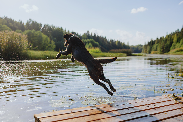   My July/Shutterstock/FOTODOM