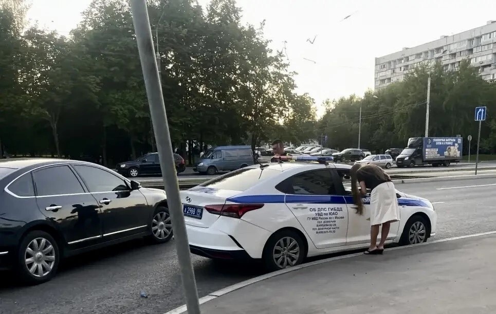 Как получить 20 000 рублей за пьяного водителя. Фото: Августинка Алена