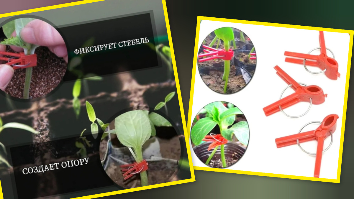 Клипсы многоразовые для прививки арбузов, дынь.. 