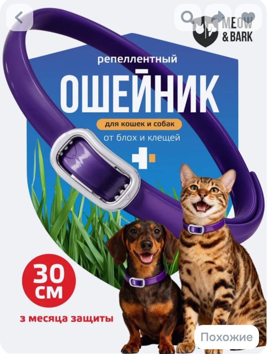 Мой новый ошейник. Фото Озон