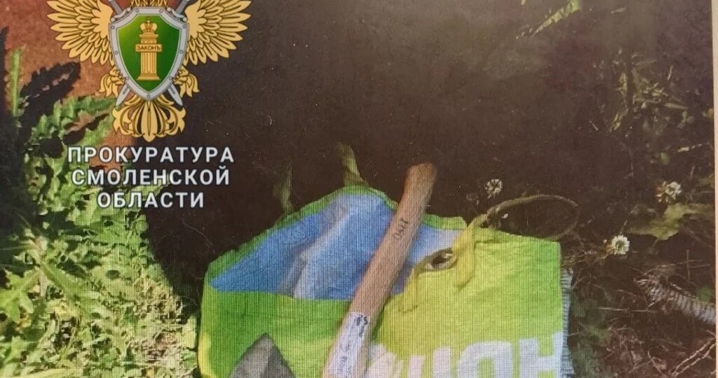 Суд вынес приговор гастарбайтеру за кровавое нападение с топором на смоленского коммерсанта