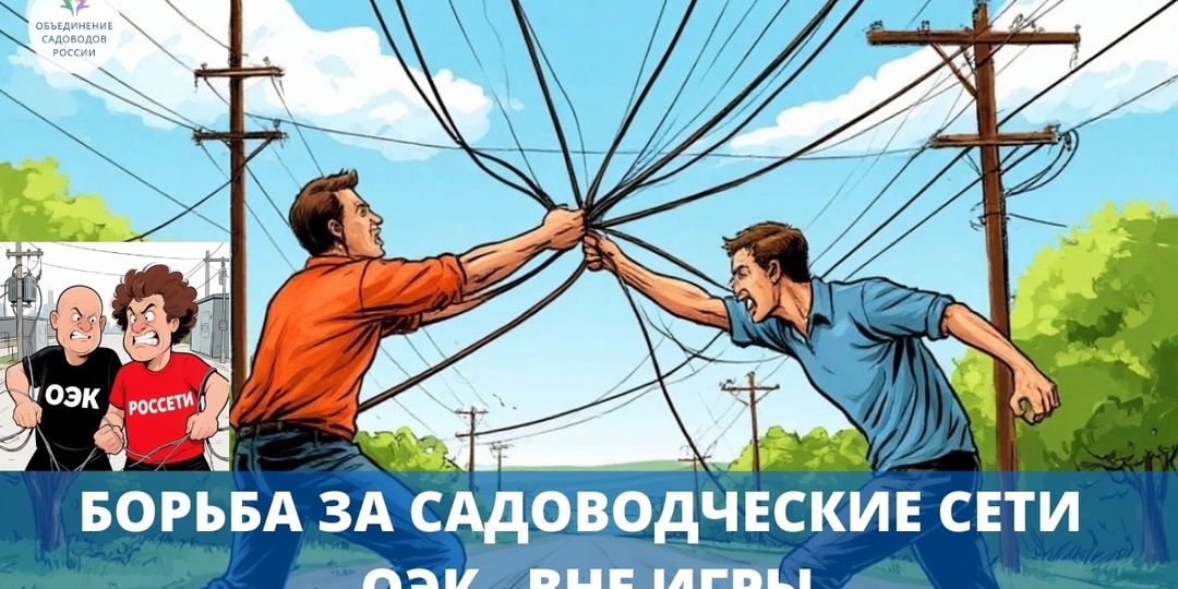 Акционерное общество «Объединенная энергетическая компания» утратило статус сетевой организации. Что это значит для садоводов?