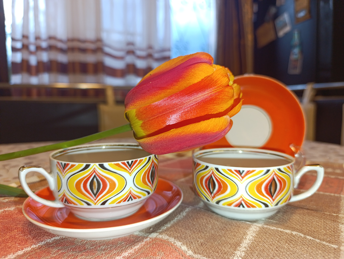 Кофейные пары сервиз Саулите