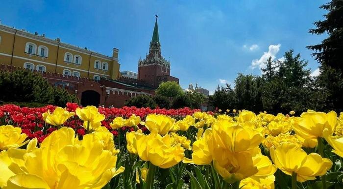 Территорию Кремля и Александровский сад украсили десятками тысяч цветов. Обложка © Telegram / Управление делами Президента РФ