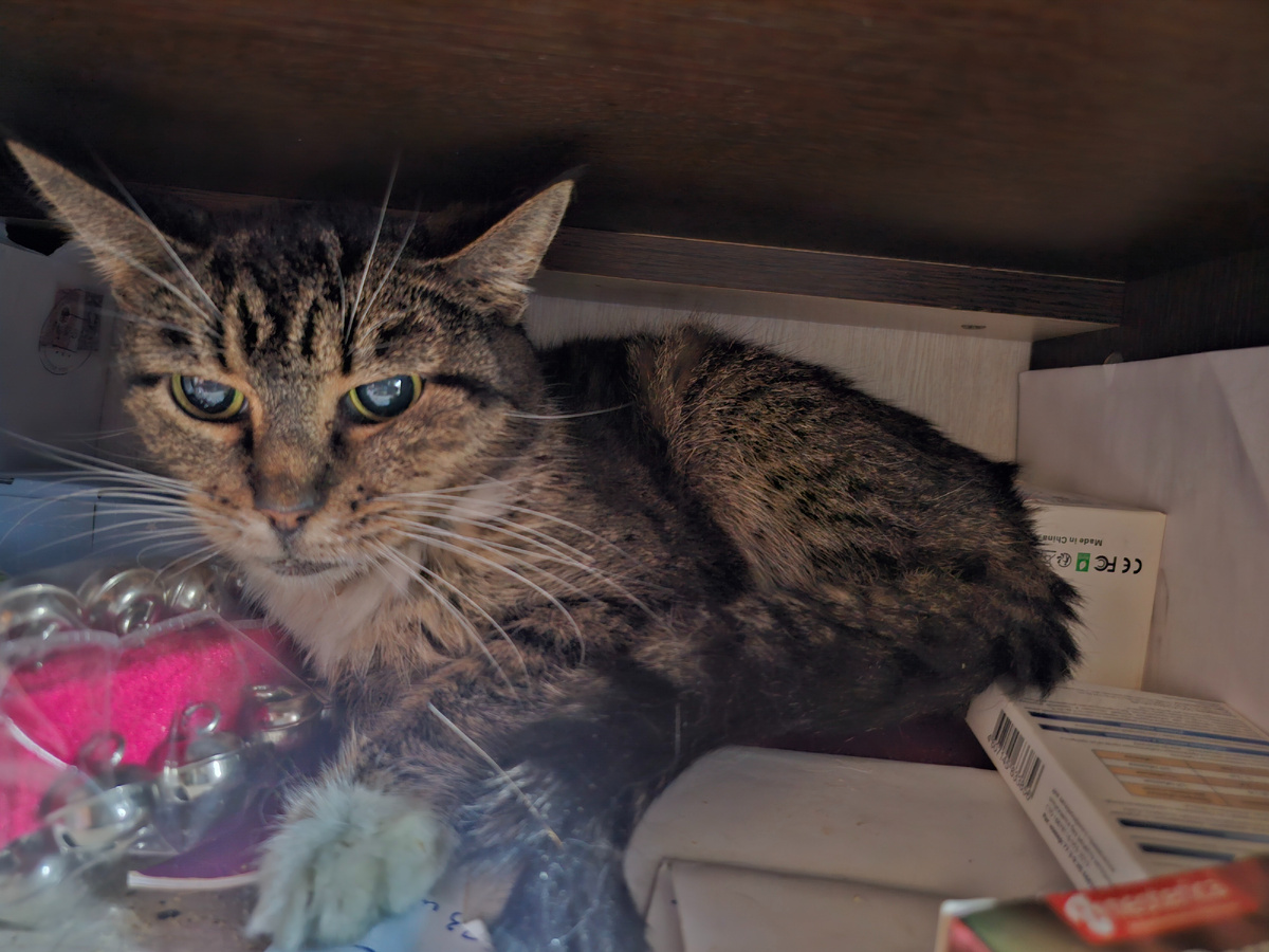 Фото автора. Маргоша.
