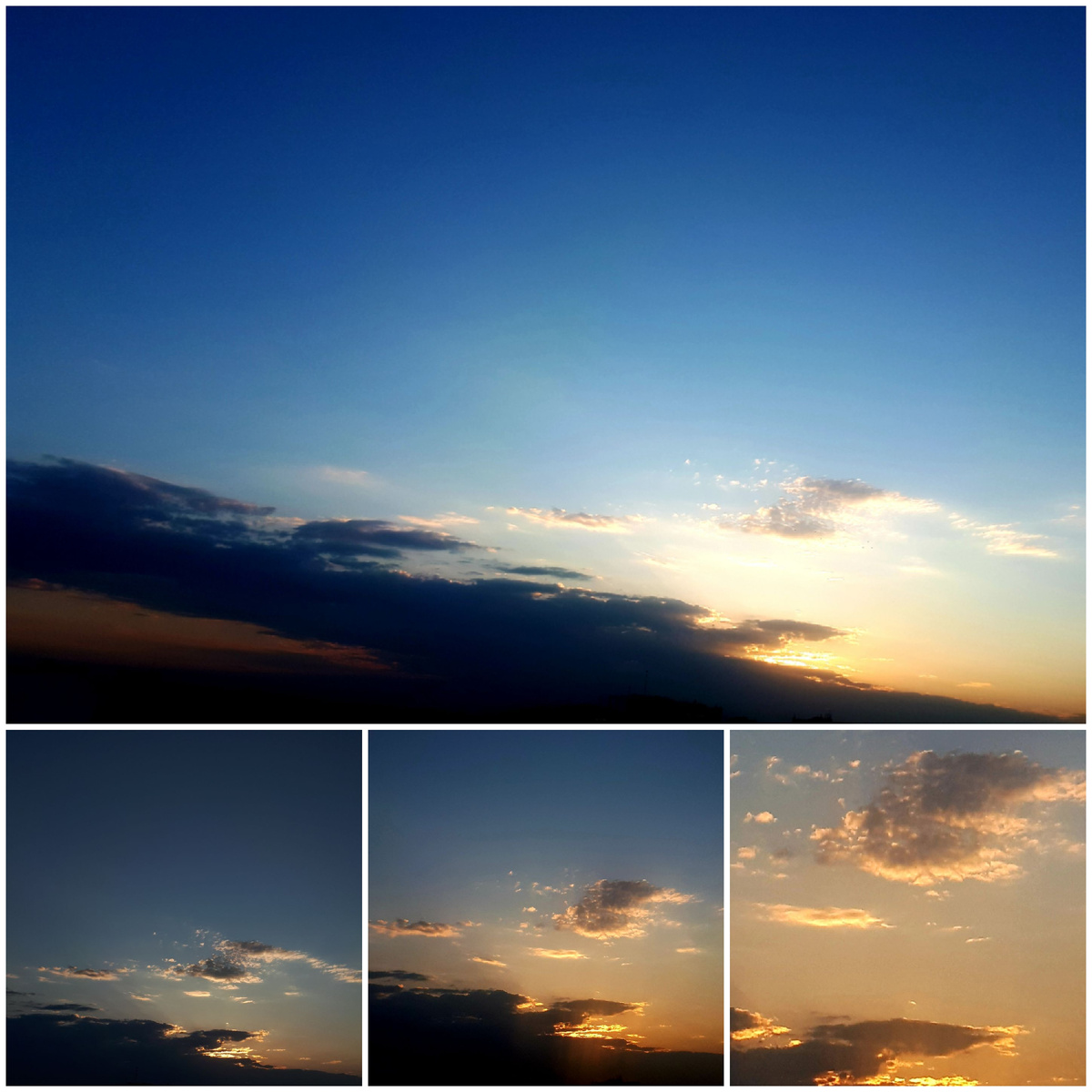Коллаж автора 13.05.2026г.