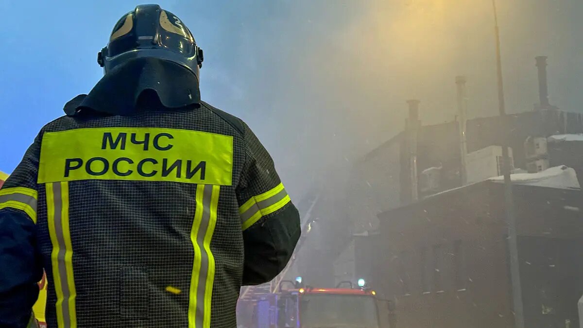    Источник: vm.ru/ Кирилл Степанов