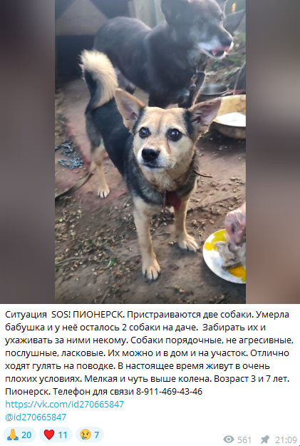 Многие даже не подозревают, насколько огромны масштабы этой проблемы
