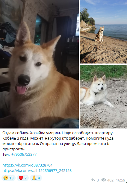 Многие даже не подозревают, насколько огромны масштабы этой проблемы