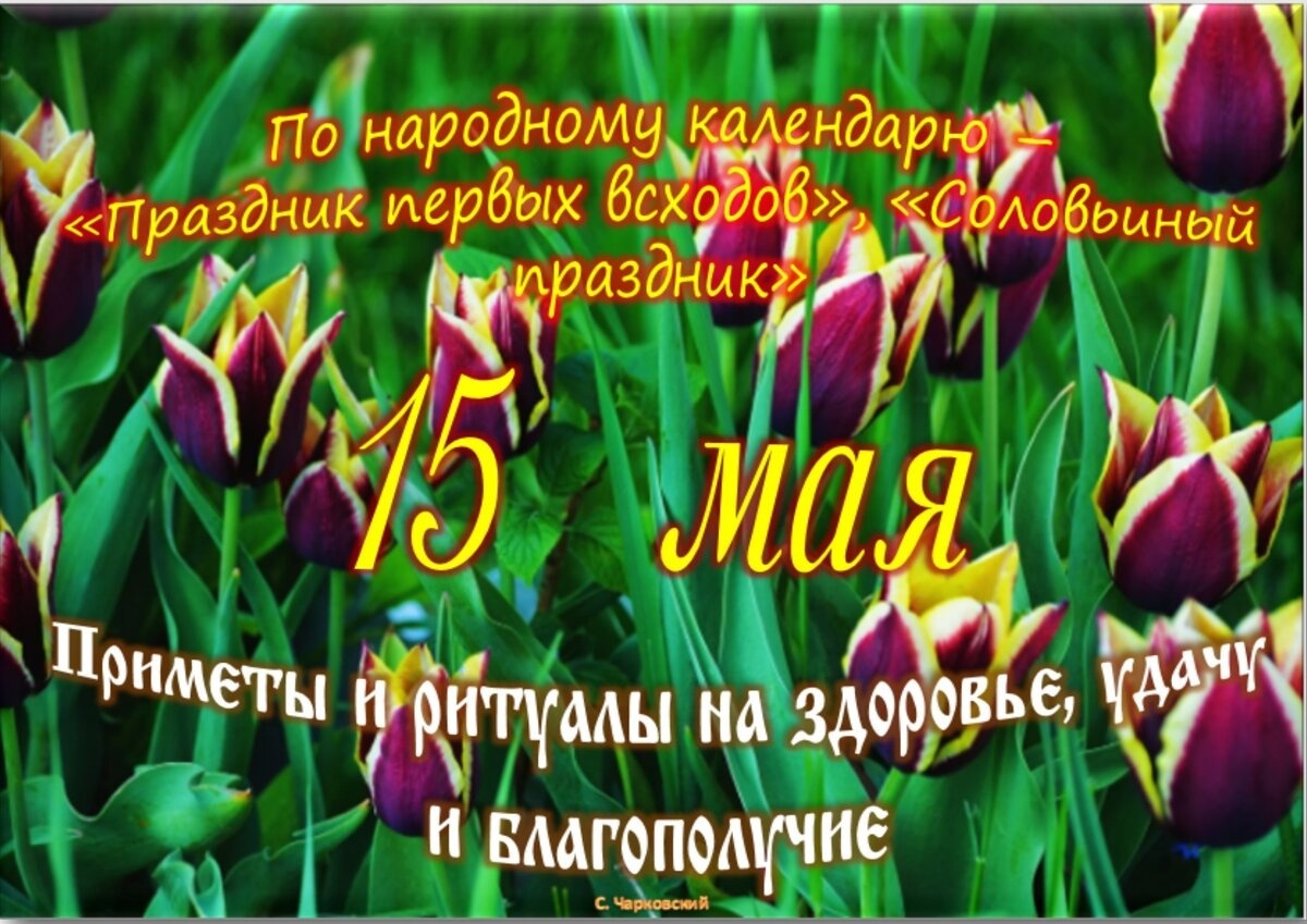 Встречаем новый день