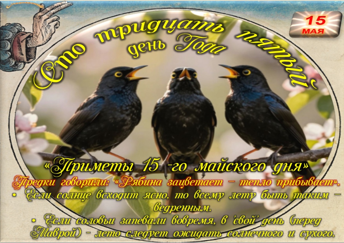 Встречаем новый день