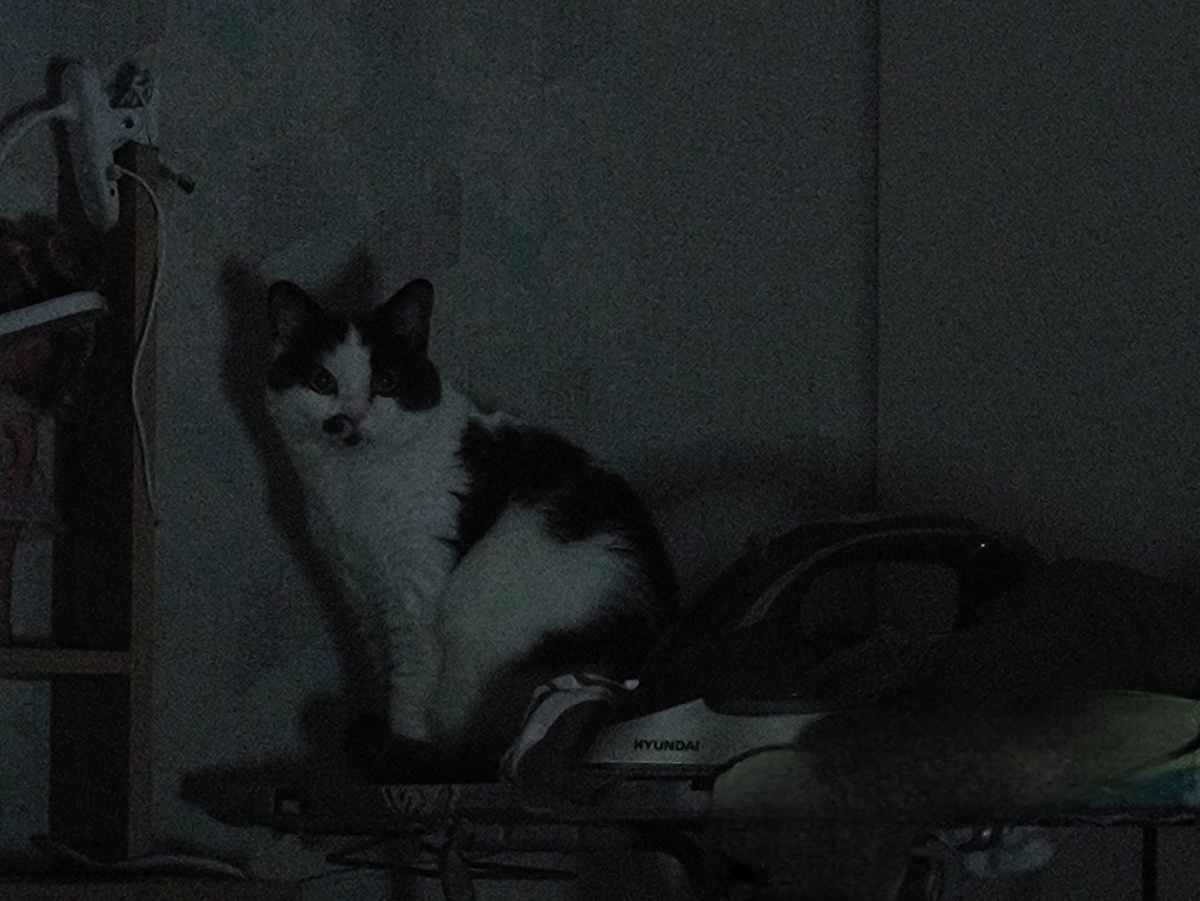Лежала котенька скучала)