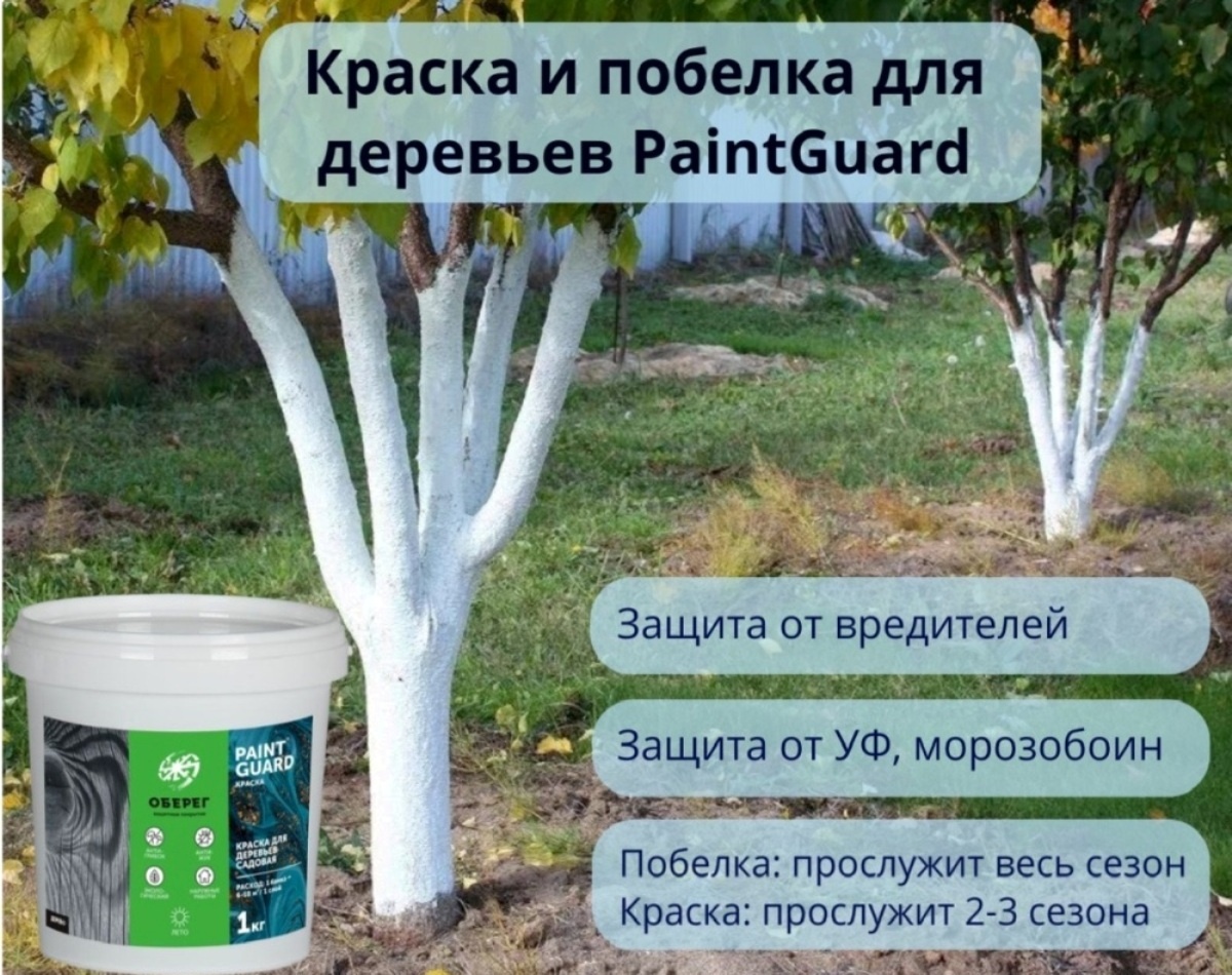 Садовая краска и побелка PaintGuard «ОБЕРЕГ» - забота и защита ваших деревьев