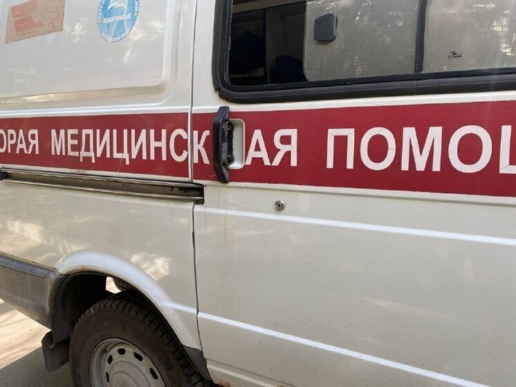     Фото: МК на Алтае