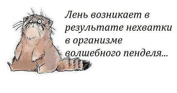 #Лень😁