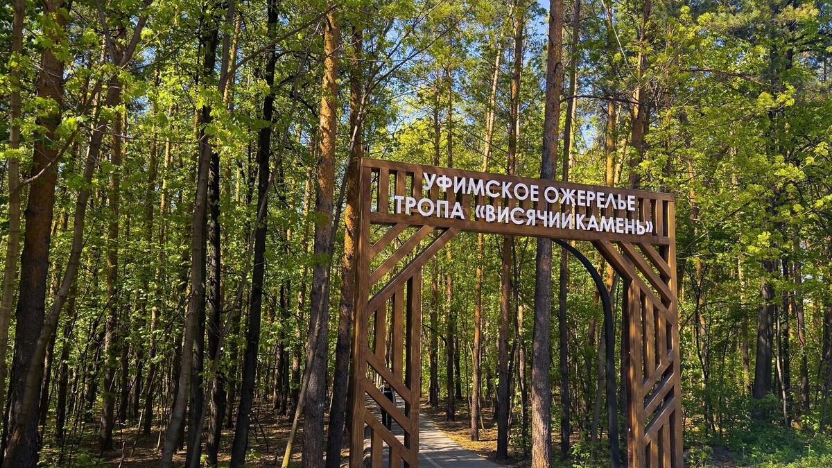   ГК «Первый Трест»