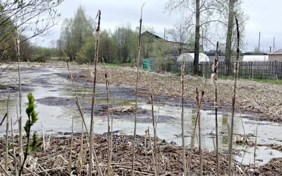    Дело возбудили в Удмуртии после жалоб на слив промотходов в водоем