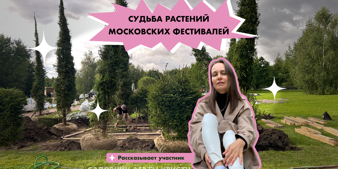Судьба растений с московских фестивалей