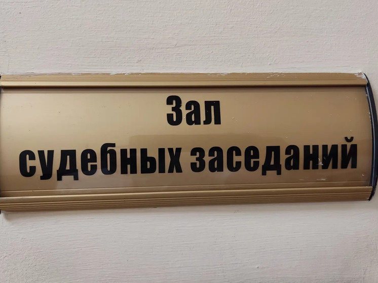     Во втором деле обжалуют решение о взыскании долга по договору займа и кредиту. Фото: архив "МК в Питере"