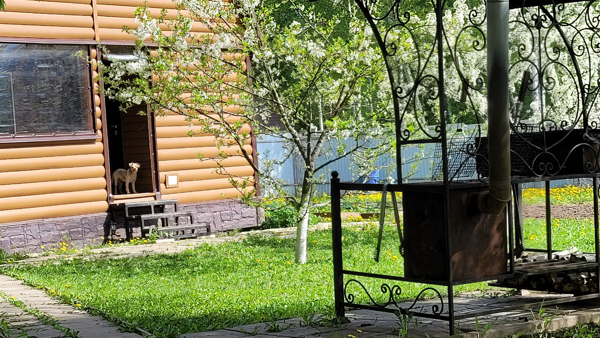Видите Марселя?