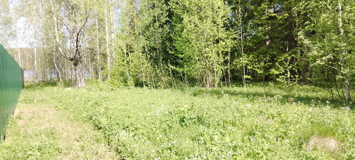 Личный архив