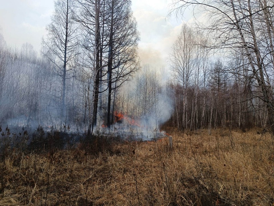    В области сохранится четвертый класс пожарной опасности Наталья ВАРСЕГОВА