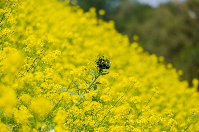 Фото: pixabay.com 