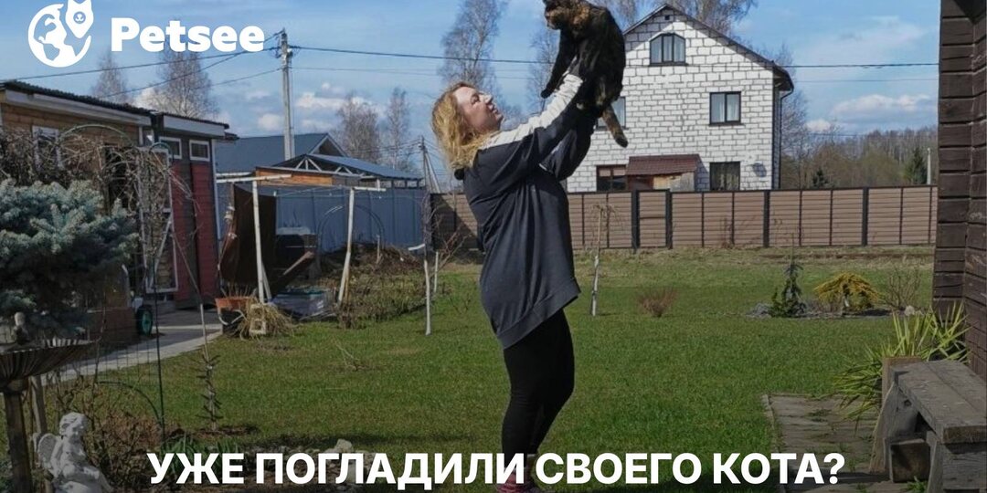 Кошка сама просит ласку? Вот что на самом деле происходит