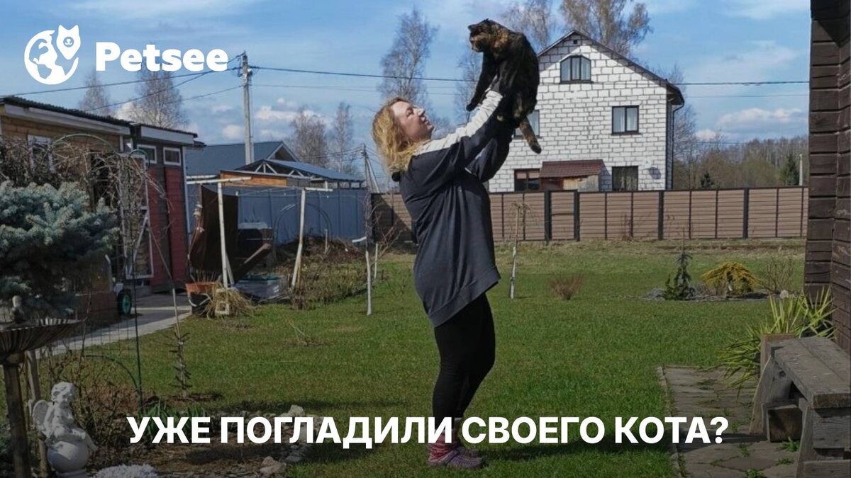 Кошка сама просит ласку? Вот что на самом деле происходит, когда вы её гладите
