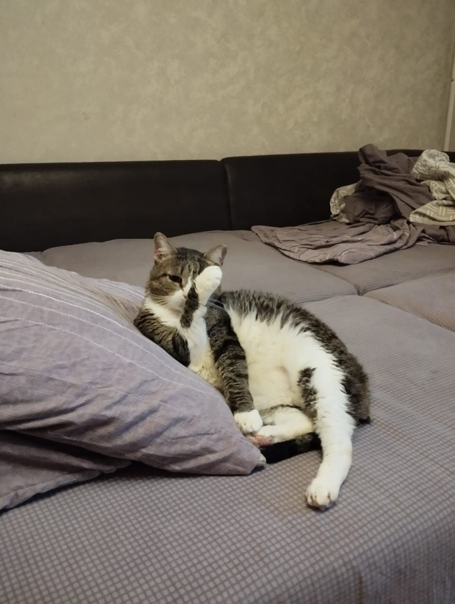 -2