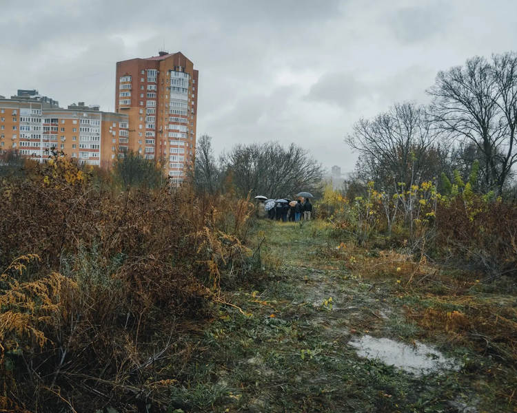     Суд вернул государству земельный участок в 8 тыс. кв.м. в Курске