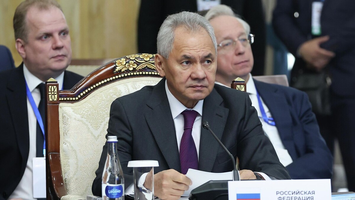 Секретарь Совета безопасности РФ Сергей Шойгу/© POOL 
