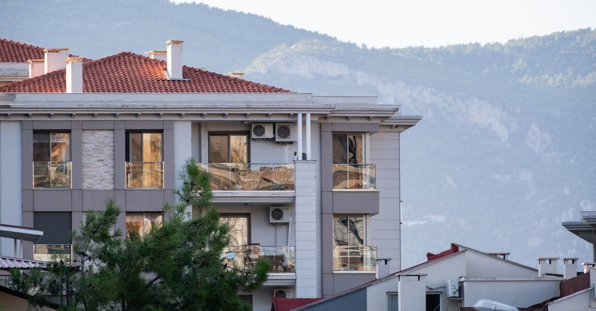    Фото: Pexels, @Doğan Alpaslan Demir