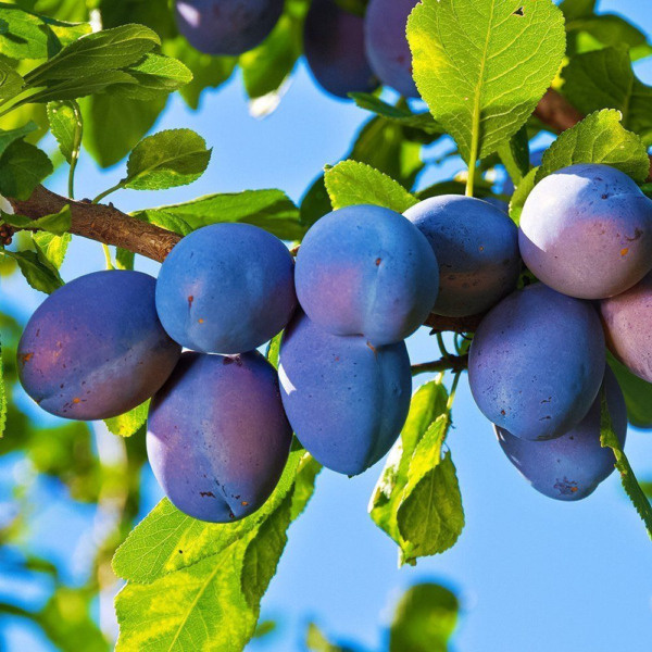   📷
