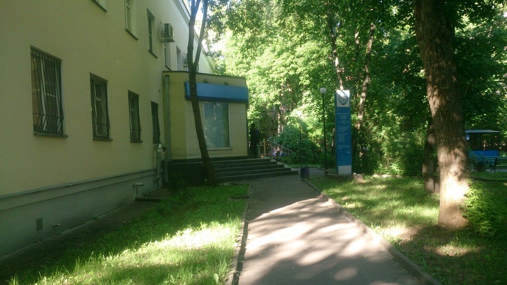 Фото из интернета, много зелени во дворе