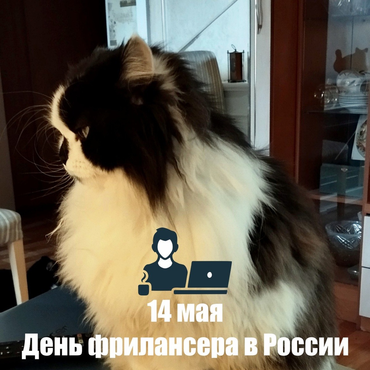 🐾 Комментарий Котейки По Имени Роршах: