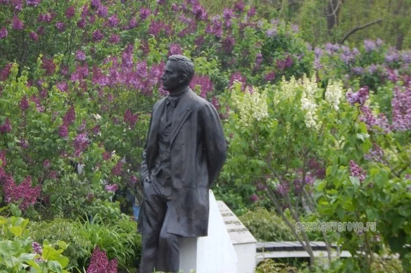 Фестиваль "Сиреневая ночь в Ивановке"